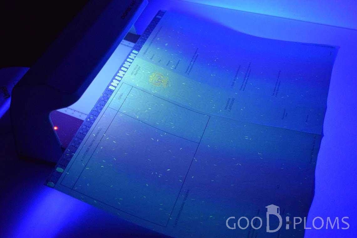 Приложение к Диплому Магистра в Ультрафиолете в период c 2014 по 2025 год - Балхаш
