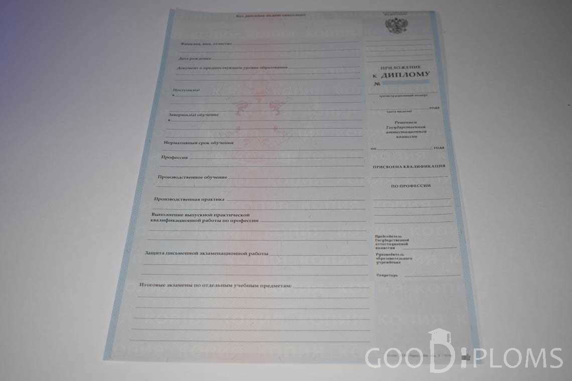 Приложение к Диплому Училища период выдачи 2007-2010  -  Балхаш