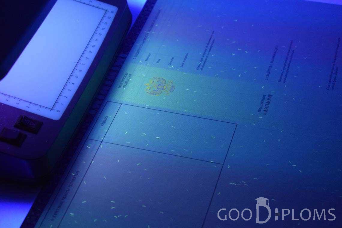 Приложение к Диплому о Высшем Образовании с Отличием в Ультрафиолете - Балхаш